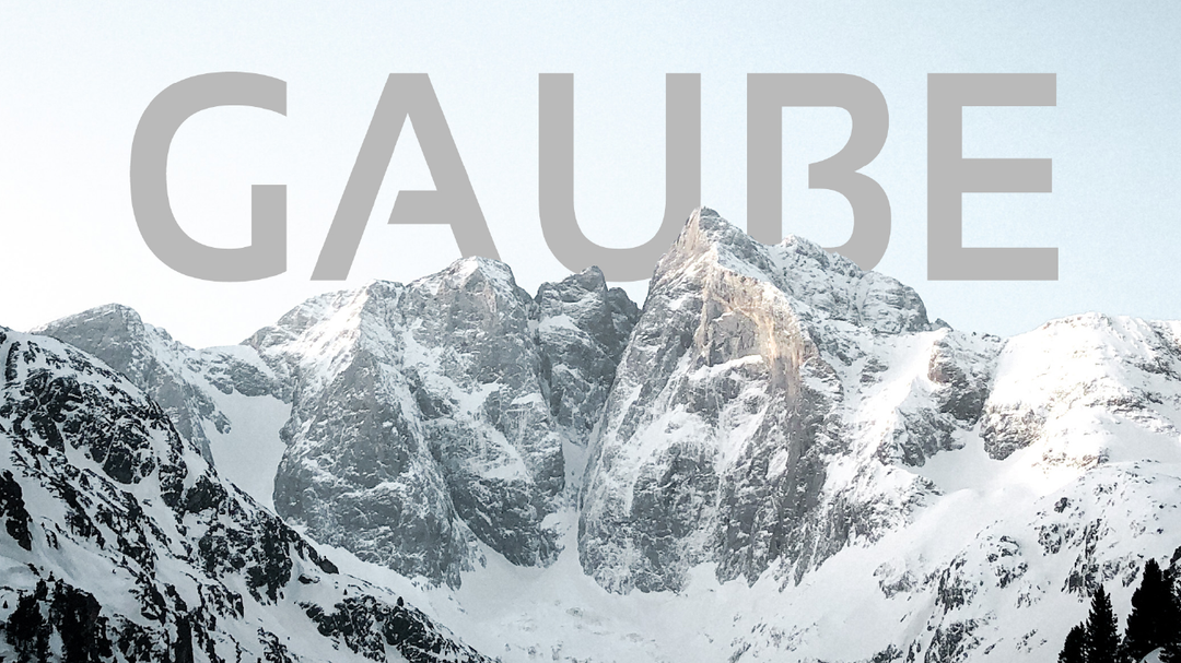 Gaube