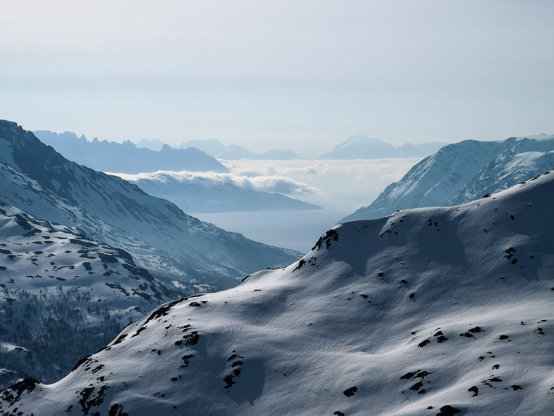 Å bli klimanøytral