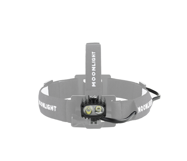 Lamphead800_grande.webp?v=